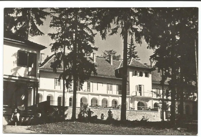 @carte postala(ilustrata)-HARGHITA-Borsec- Casa de odihna