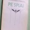 VICTORIA RAICEV-VOICESCU: PE SPLAI,POEME 1981/coperta P.HAGIU/dedicatie-autograf