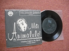 Formatia &amp;quot;ROND&amp;quot; : Mai Animalule ! (1992)(vinil disc 7&amp;quot; raricel) foto