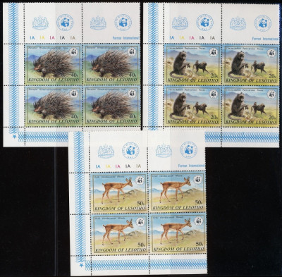 LESOTHO 1981 WWF ANIMALE SALBATICE COTA MICHEL 88 EURO (2 FOTO) foto