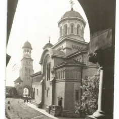 @carte postala(ilustrata)-ALBA IULIA-Catedrala ortodoxa