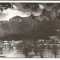 @carte postala(ilustrata)-BUSTENI-vedere din Bucegi