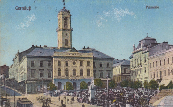 BUCOVINA CERNAUTI PRIMARIA