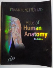 ATLAS OF HUMAN ANATOMY de FRANK H. NETTER foto