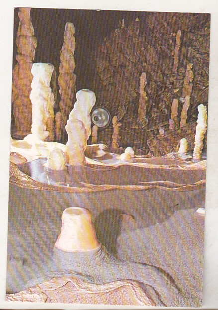 bnk cp Pestera Ursilor - Chiscau - Bihor - necirculata