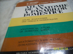 atlas de anatomie a pasarilor domestice - v. ghetie- 1976 foto