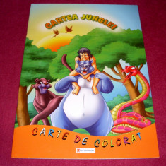 CARTEA JUNGLEI - Carte de colorat pentru copii + CADOU foto
