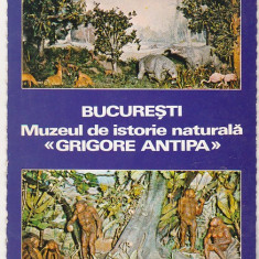 bnk cp Bucuresti - Muzeul de istorie naturala Grigore Antipa - necirculata