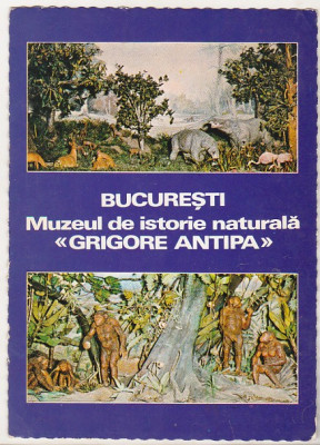 bnk cp Bucuresti - Muzeul de istorie naturala Grigore Antipa - necirculata foto