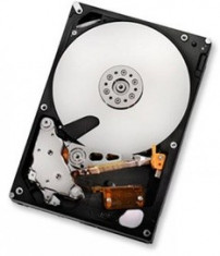 Hard disk Hitachi Ultrastar A7K2000, 1TB, 7200 RPM, SATA 3GB/s, 3.5 inch foto