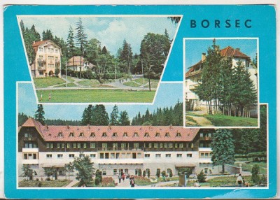 bnk cp Borsec - Vedere - necirculata - marca fixa foto