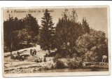 @carte postala(ilustrata) -DAMBOVITA-Pucioasa-Sursa cu izvoarele