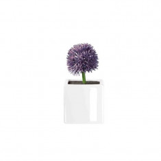 Floare violet allium cu suport din portelan foto