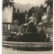 @carte postala(ilustrata) SINAIA-Terasa Muzeului Peles