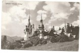 @carte postala(ilustrata) SINAIA-Muzeul Peles, Circulata, Fotografie