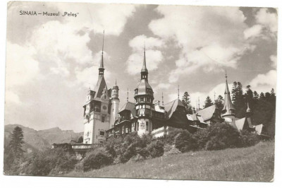 @carte postala(ilustrata) SINAIA-Muzeul Peles foto