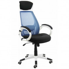 Scaun ergonomic Irina foto