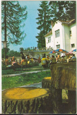 bnk cp Bistrita - Hotel Codrisor - necirculata foto