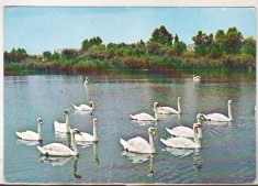 bnk cp Constanta - Microdelta - necirculata