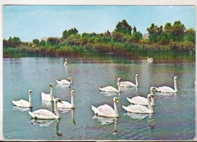 bnk cp Constanta - Microdelta - necirculata foto