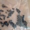 suruburi cap stelat/hexagonal Hp 425 625 620 compaq