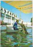 Bnk cp Constanta - Delfinariul - necirculata, Printata