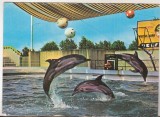 bnk cp Constanta - Delfinariu - necirculata
