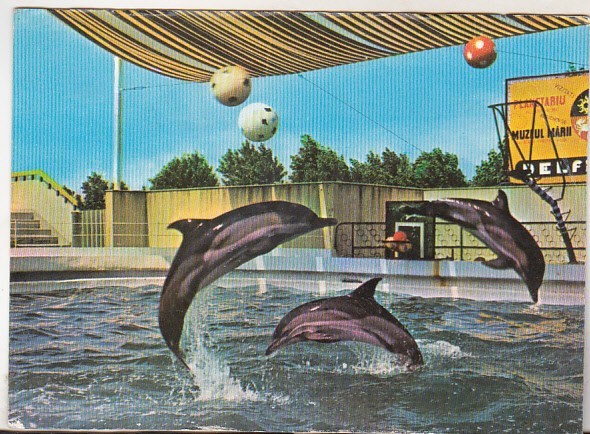 bnk cp Constanta - Delfinariu - necirculata