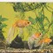 bnk cp Constanta - Acvariul Constanta - Carassius Auratus - necirculata