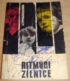 Ritmuri zilnice - Mihai Ghiviriga