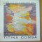 Titina Comsa tapiserie catalog expozitie Bucuresti 1981 Orizont