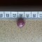 RUBIN STEA_star ruby- rubin natural caboson