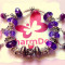 Bratara tip Pandora completa ,pandantive,talismane si charm-uri tip Swarovski