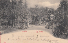 TARGU NEAMT , GRADINA , CLASICA , CIRCULATA SEPT. 1902 foto