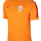 Tricou Nike Galatasaray Training-Tricou Original-Tricou Barbat