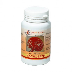 Ganoderma (90 capsule) foto