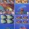 WWF-463=AITUTAKI 2010,Minicoli de 4 serii,tematica WWF pești