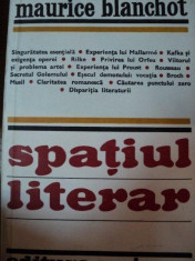 SPATIUL LITERAR-MAURICE BLANCHOT,BUC.1980 foto