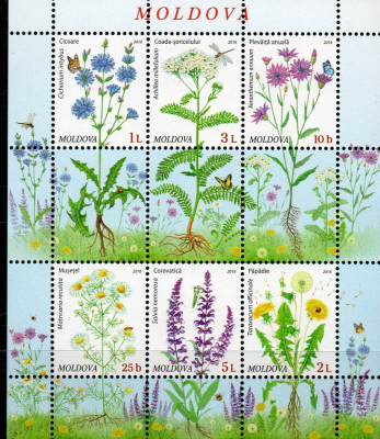 MOLDOVA 2016, Flora, bloc neuzat, MNH foto