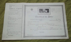 certificat de botez interbelic necompletat Mitropolia Moldovei si Sucevei foto