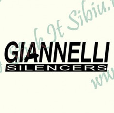 Giannelli Silencers_Tuning Moto_Cod: MST-041_Dim: 15 cm. x 4.2 cm. foto