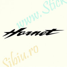 Hornet-Honda-Model 3_Tuning Moto_Cod: MST-031_Dim: 15 cm. x 2.6 cm. foto