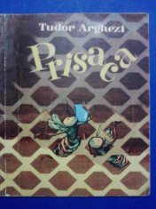 Prisaca - Tudor Arghezi / C64P foto