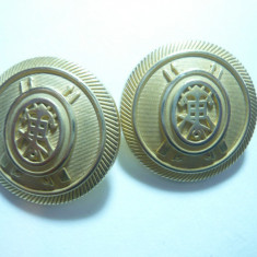 2 Nasturi Marina Militara , bronz aurit- straini , d= 2,5 cm