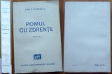 Cumpara ieftin Dan D. Dobrescu, Pomul cu zdrente; Roman, 1939, editia 1, stare exceptionala