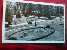 Ilustrata Targu Ocna - Vedere din Parc ,circulat 1953 foto