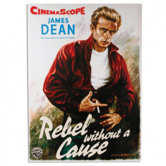 Poster Panza In James Dean in Rebel Fara Cauza 50 x 70 foto
