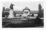 458 - BUCURESTI, Park CAROL - old postcard, real PHOTO - used - 1937, Circulata, Fotografie