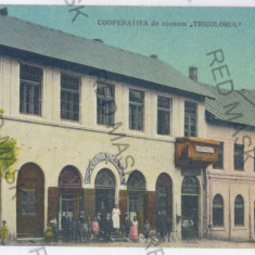 159 - BUSTENI, Prahova, store - old postcard - unused