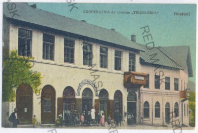 159 - BUSTENI, Prahova, store - old postcard - unused foto